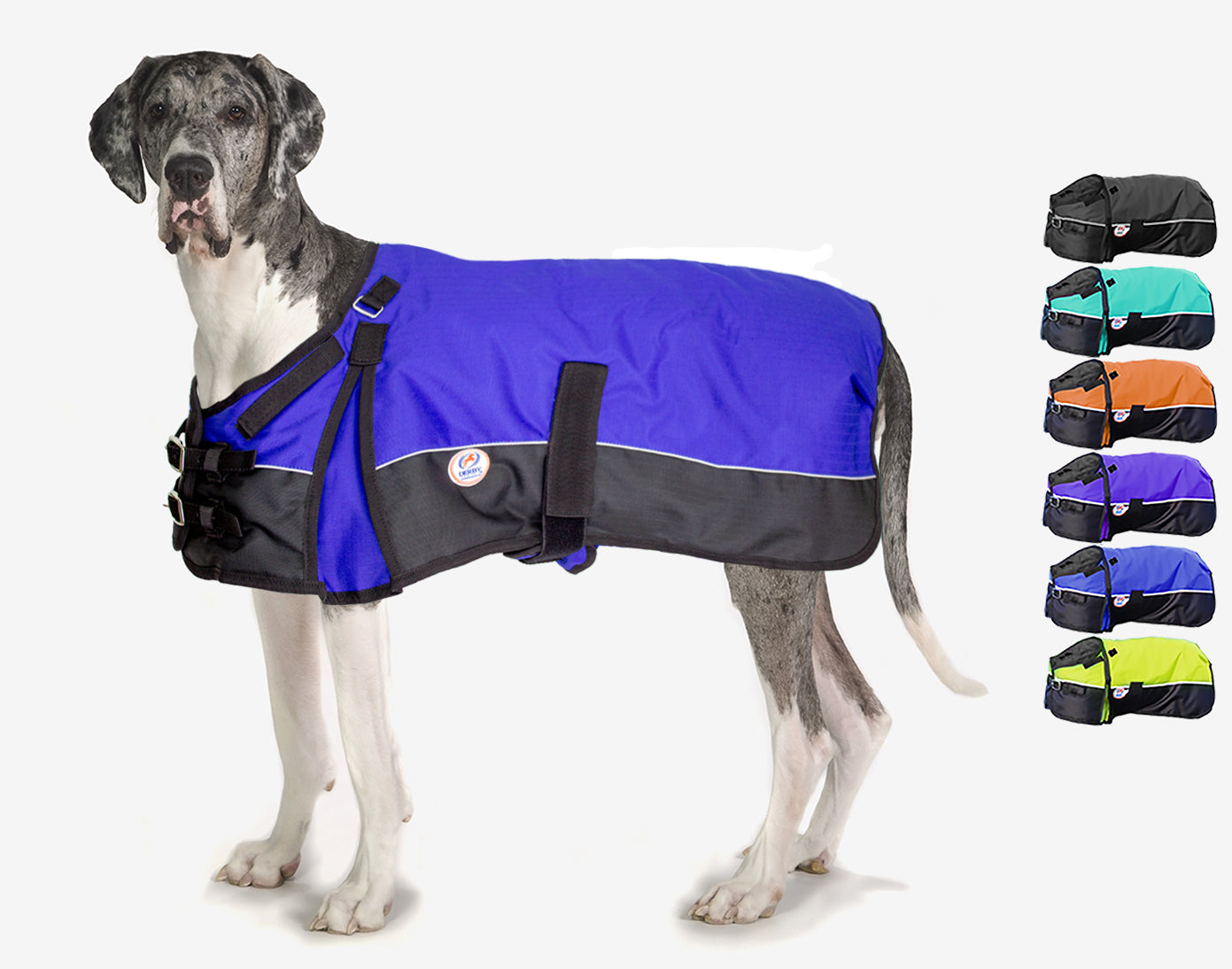 Horse-Tough Reflective 600D Waterproof Ripstop Nylon Winter Dog Coat royal blue