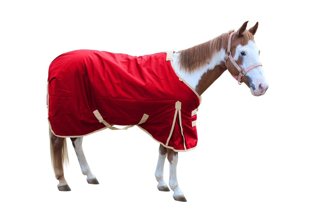Derby Originals Classic Crossed Surcingles 420D Heavy Weight Winter Horse Stable Blanket 300g Red main