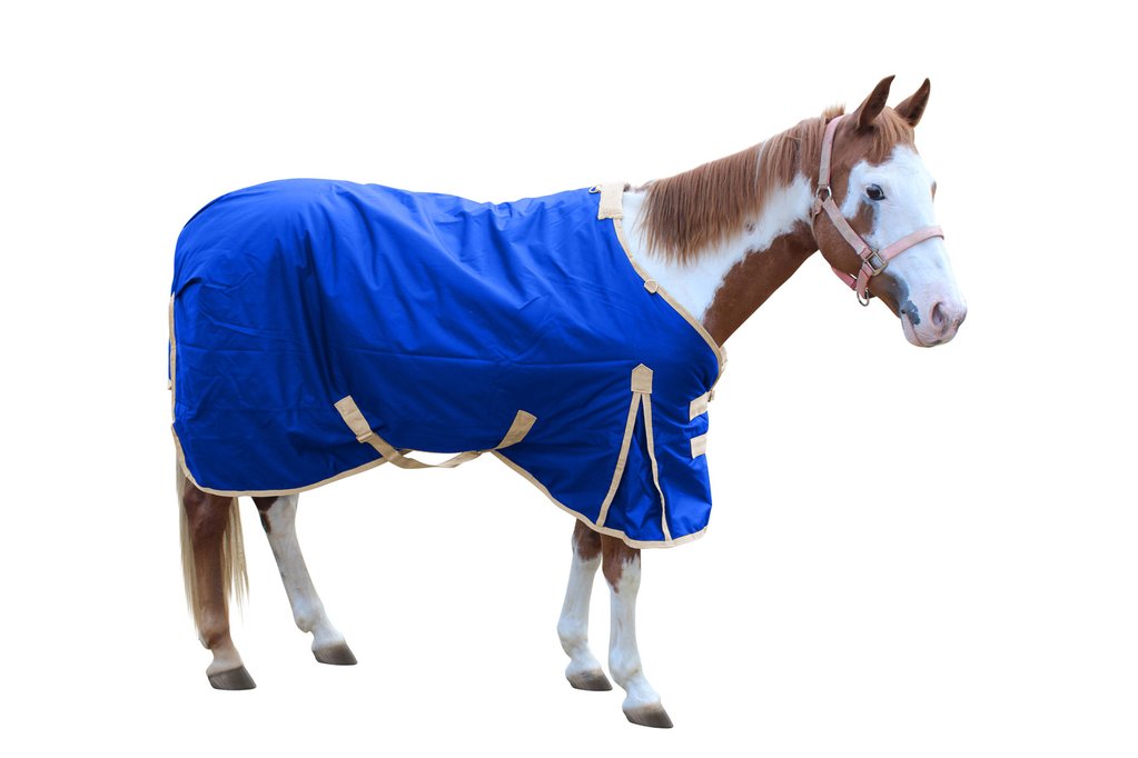 Derby Originals Classic Crossed Surcingles 420D Heavy Weight Winter Horse Stable Blanket 300g  Blue main