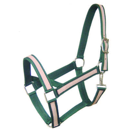Derby Originals Heavy-Duty Triple Layer Two-Tone Nylon Draft Horse Halters -  Green Color