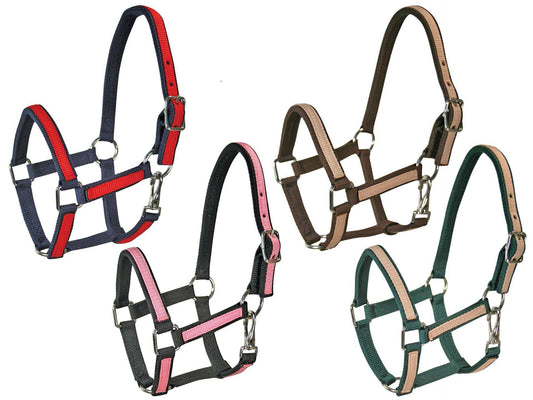 Derby Originals Heavy-Duty Triple Layer Two-Tone Nylon Horse Halters -Multiple Colors Swatch