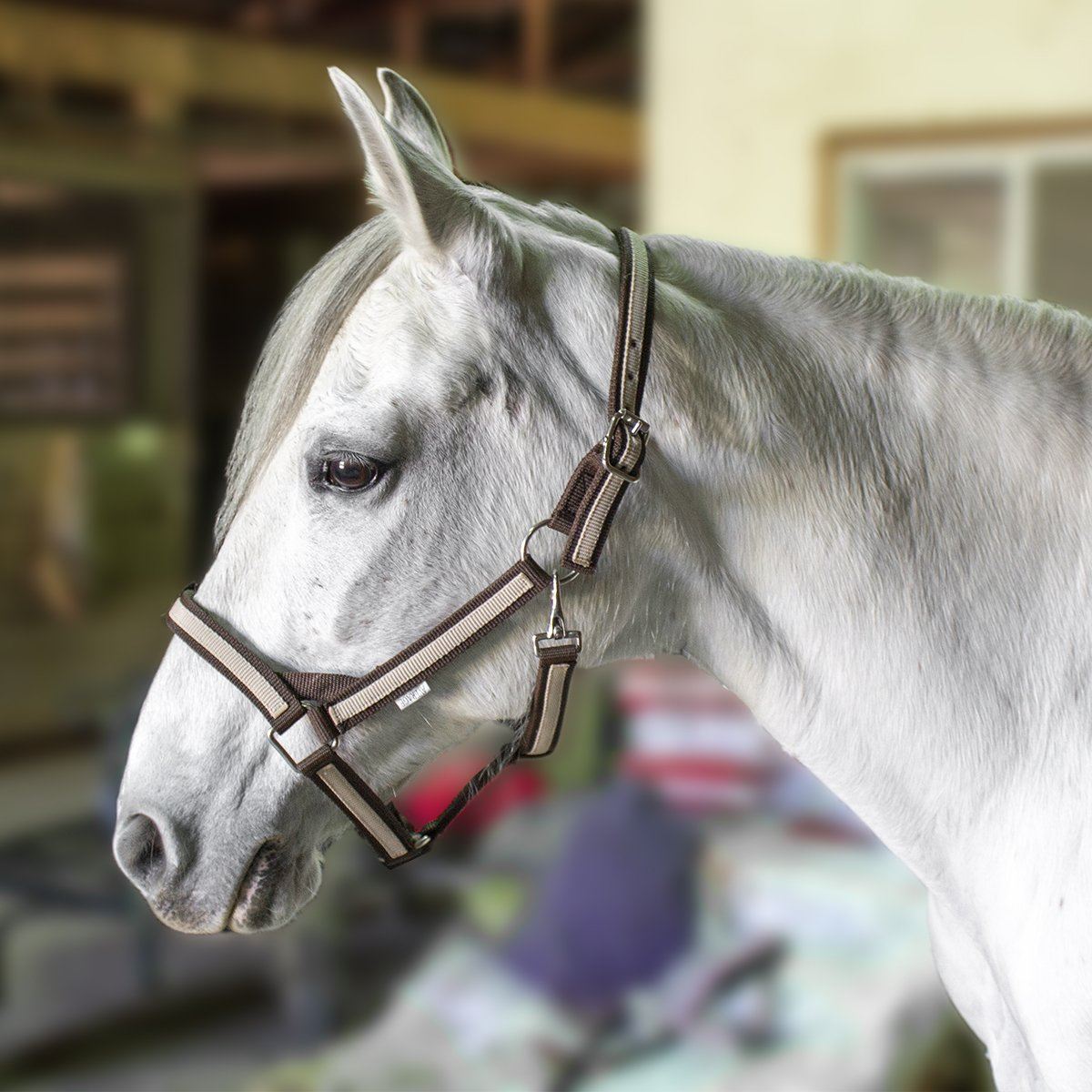 2-Ply Nylon Turnout Halter For Horses – Durable Full-Size Horse Halter With MPN 628X
