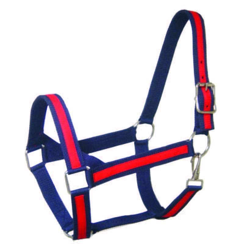 Derby Originals Heavy-Duty Triple Layer Two-Tone Nylon Draft Horse Halters - Blue Red Color