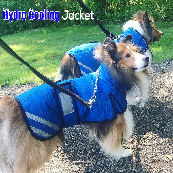 Derby Originals Premium Reflective Hydro Cooling Jacket with Adjustable Belly Band & Harness Compatible Opening
