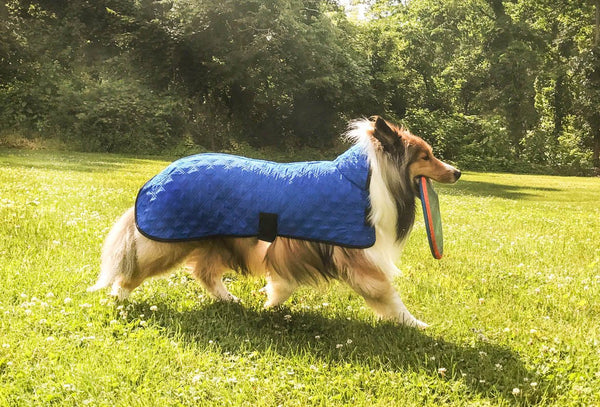 Derby Originals Hydro Cooling Dog Jacket with Harness Compatible Opening, Reflects Heat & Keeps Dogs Cool for up to 10 Hours
