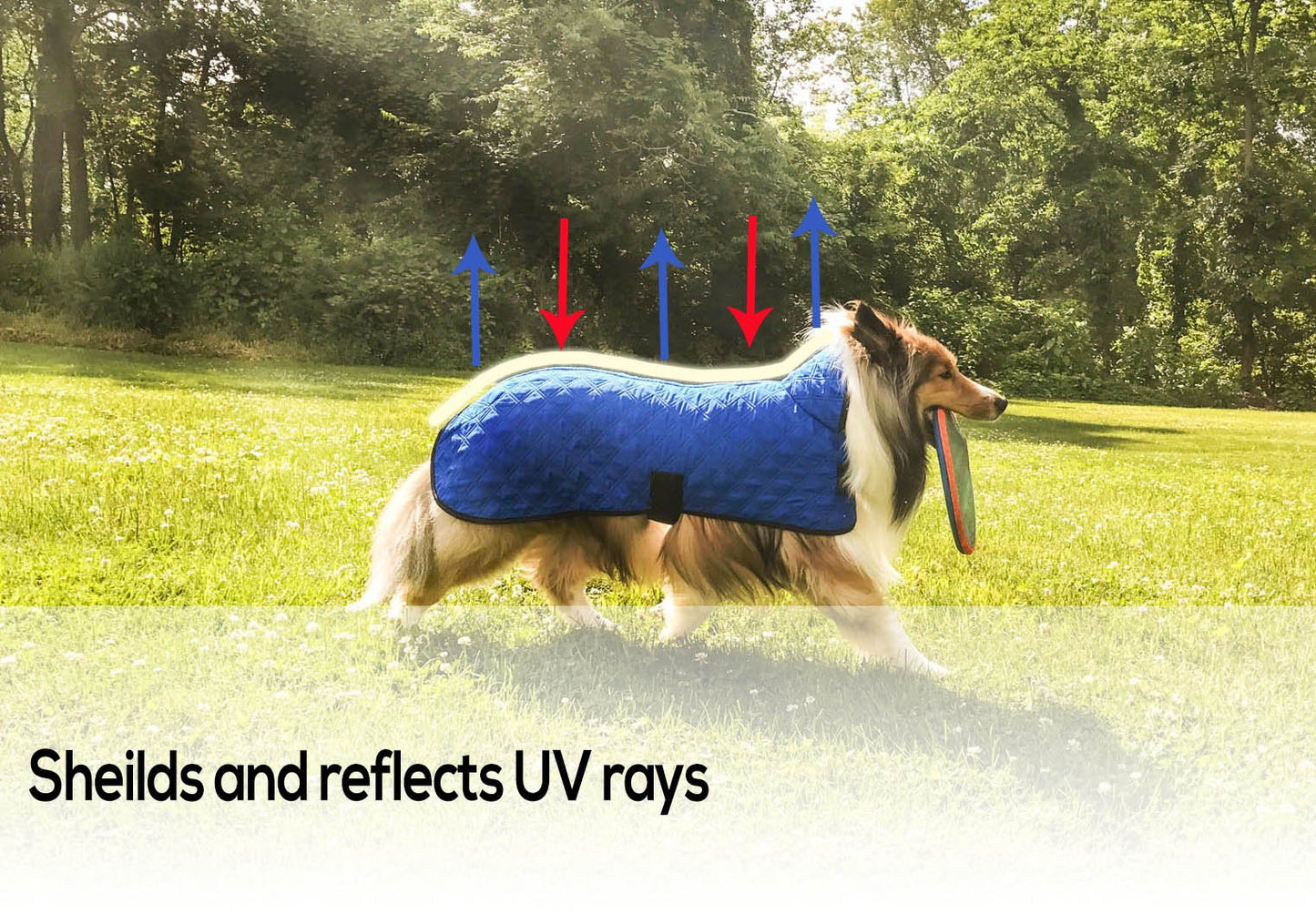Derby Originals Hydro Cooling Dog Jacket