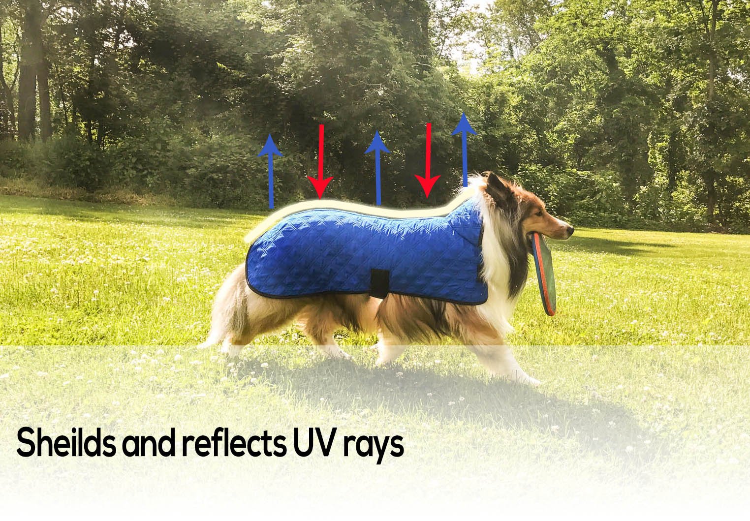 Derby Originals Hydro Cooling Dog Jacket