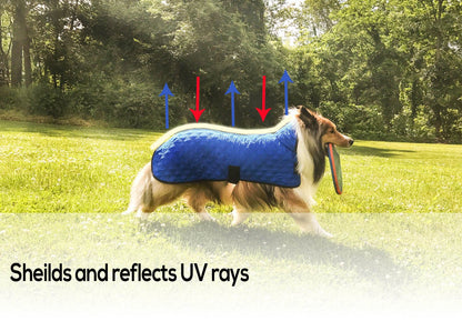 Derby Originals Hydro Cooling Dog Jacket
