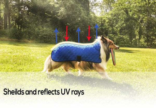Derby Originals Hydro Cooling Dog Jacket with Harness Compatible Opening, Reflects Heat & Keeps Dogs Cool for up to 10 Hours