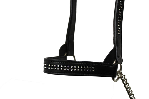 New & Improved Premium Crystal Bling Rhinestone Inlay Flat Leather Cattle Show Halter with Chain Lead   - One Year Limited Manufacturer’s Warranty