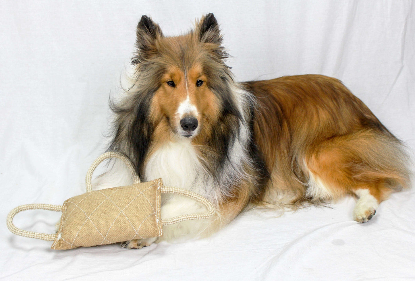cuteNfuzzy Organic Dye-Free Eco-Friendly Jute Bite and Tug Toy for Large Dogs Featured Image