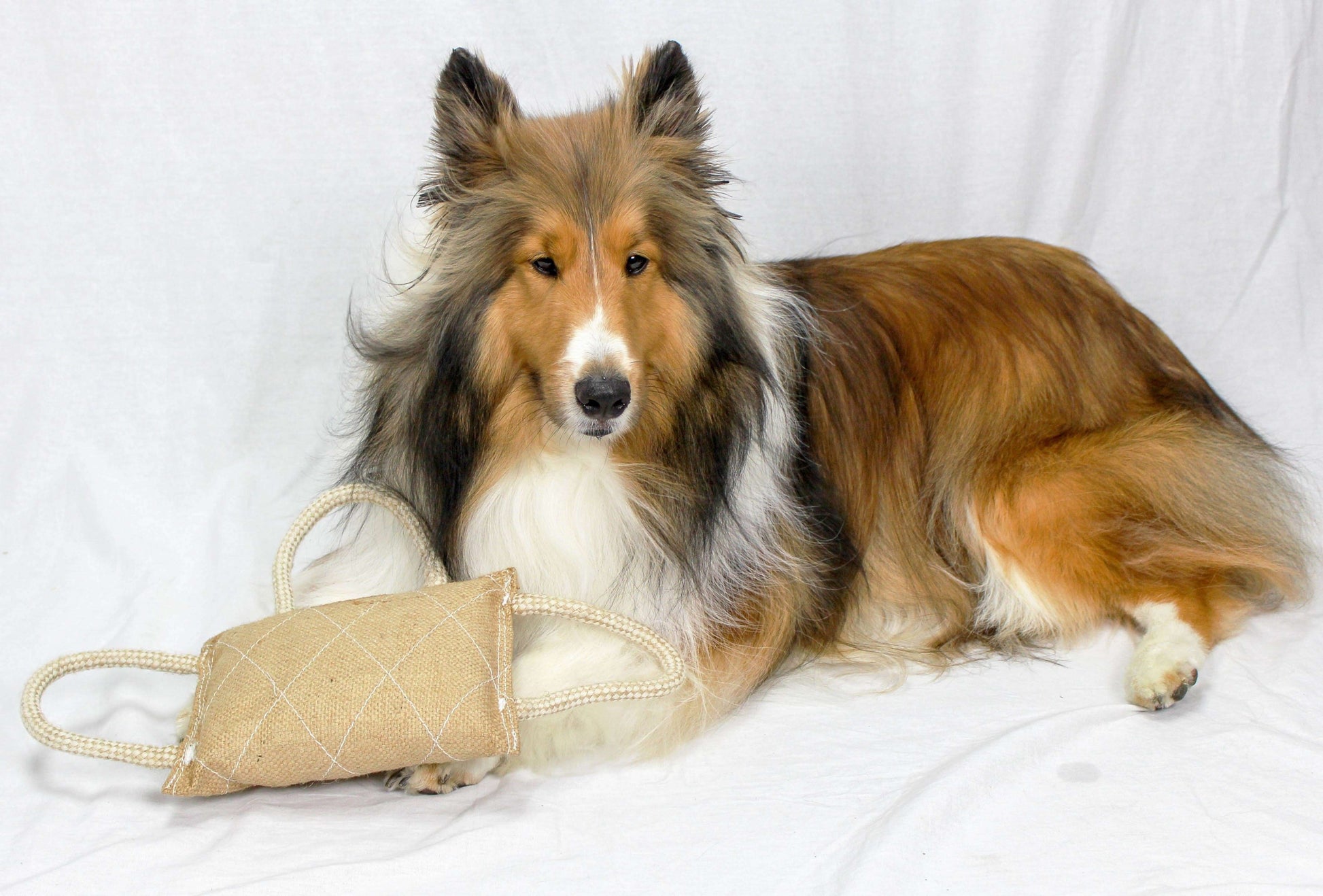 cuteNfuzzy Organic Dye-Free Eco-Friendly Jute Bite and Tug Toy for Large Dogs Featured Image