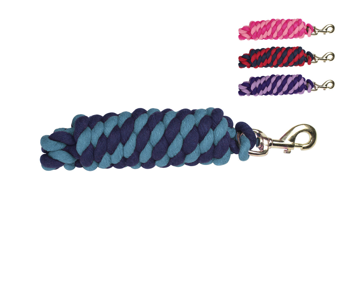 Derby Originals Striped Multicolor 10' Cotton Lead Ropes with Brass Snaps