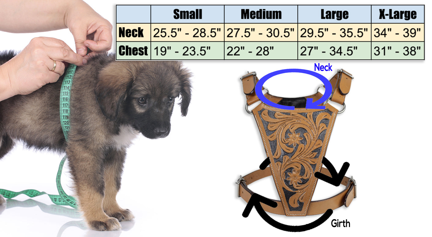 Premium Floral Tooled Gaucho Leather Padded Dog Pulling Harness  Size Chart