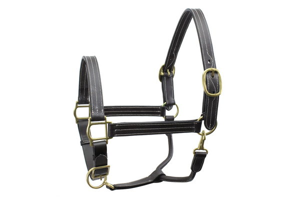 Derby Originals Coventry Triple Stitch Fully Adjustable Leather Halter- Multiple Sizes