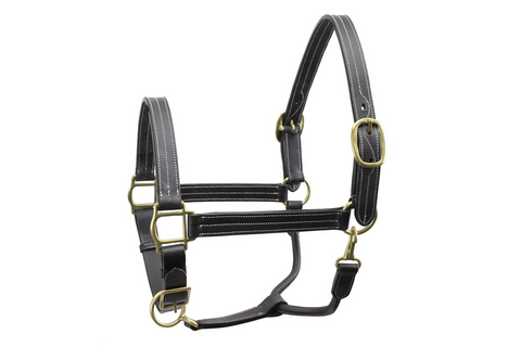 Deluxe English Padded Garment Leather Halter – Devon Horse Show Souvenirs