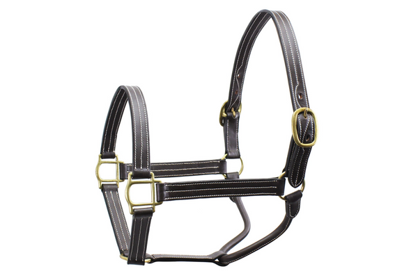 Derby Originals English Opulence Series - Cambridge - Triple Stitch Leather Halter