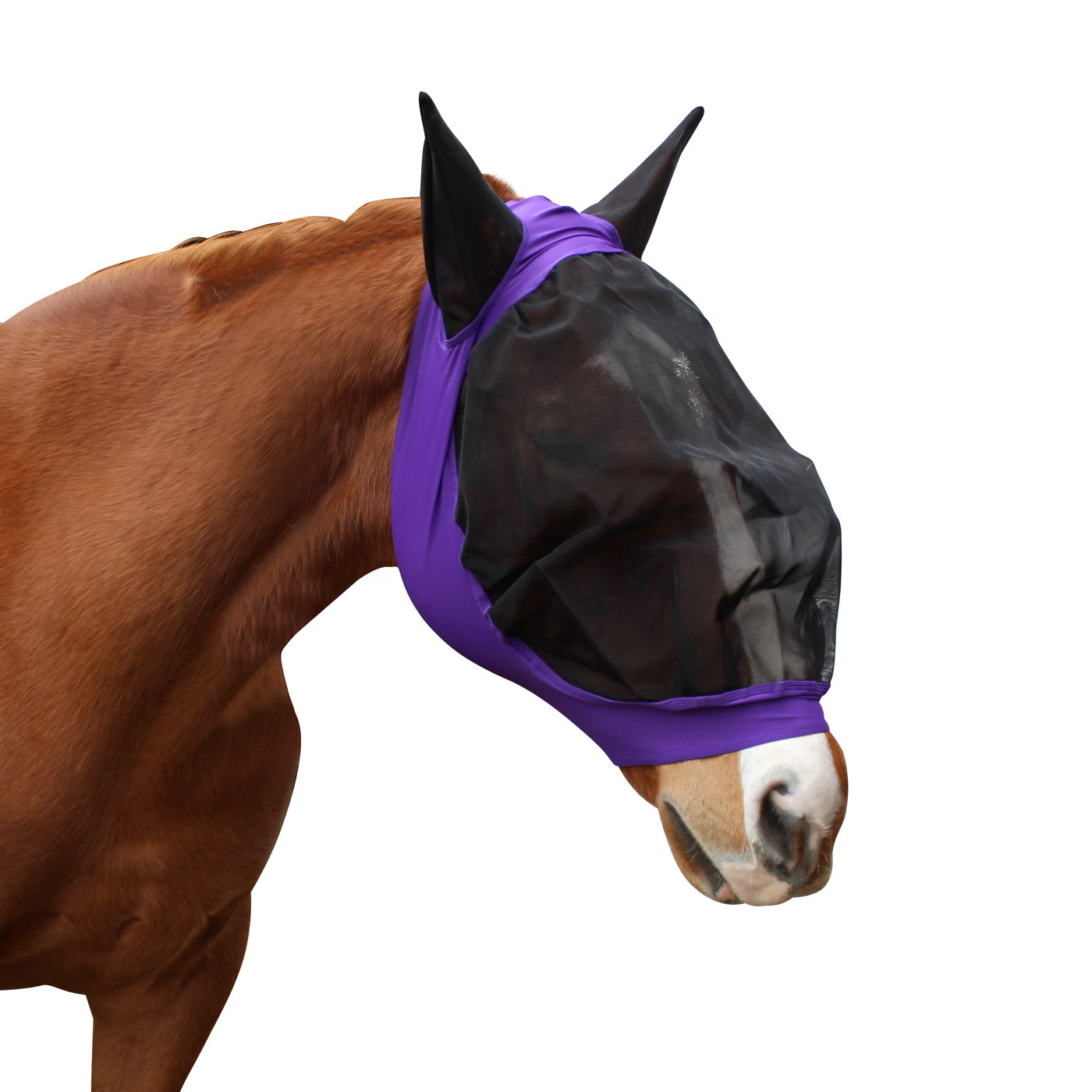 Derby Originals UV-Blocker Extra Comfort Soft Mesh Lycra Horse Fly Mask with Ears Purple color