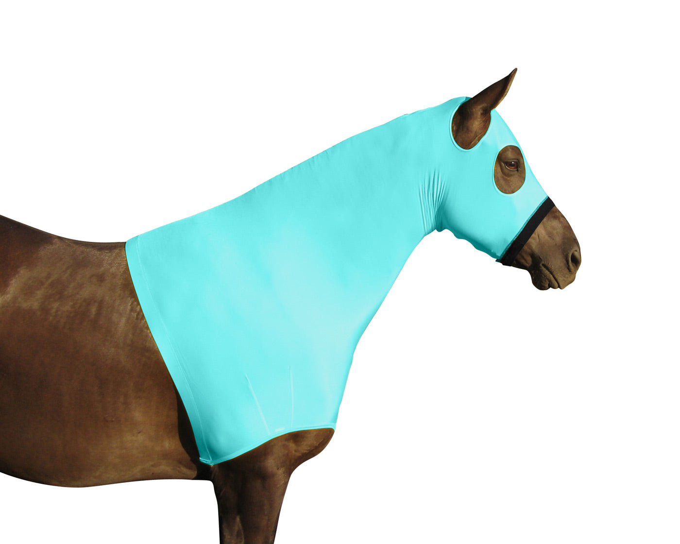 Derby Originals Comfy Stretch Lycra Sleazy Slicker Hood Neck Cover with Zipper blue main