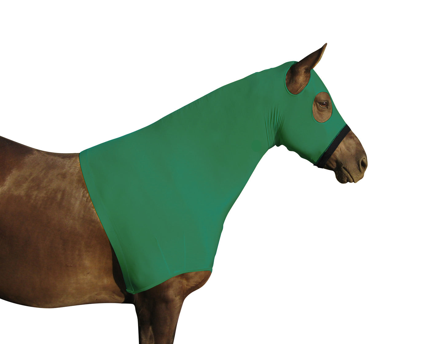 Lycra Sleazy Slicker Hood Neck Cover with Zipper green main