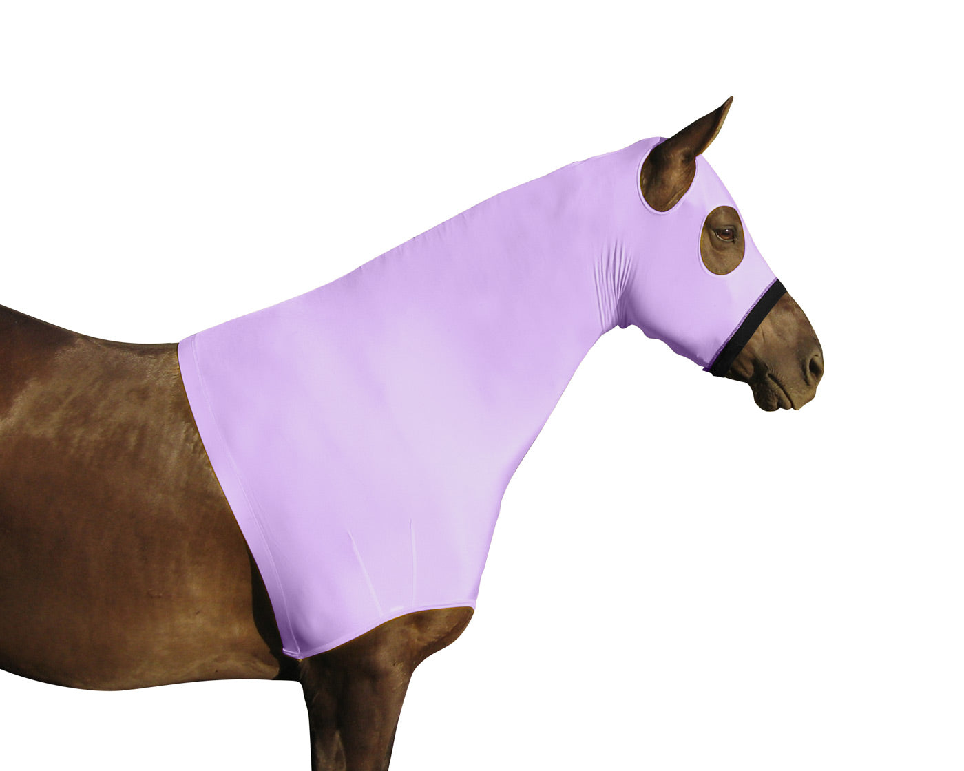 Lycra Sleazy Slicker Hood Neck Cover with Zipper purple main