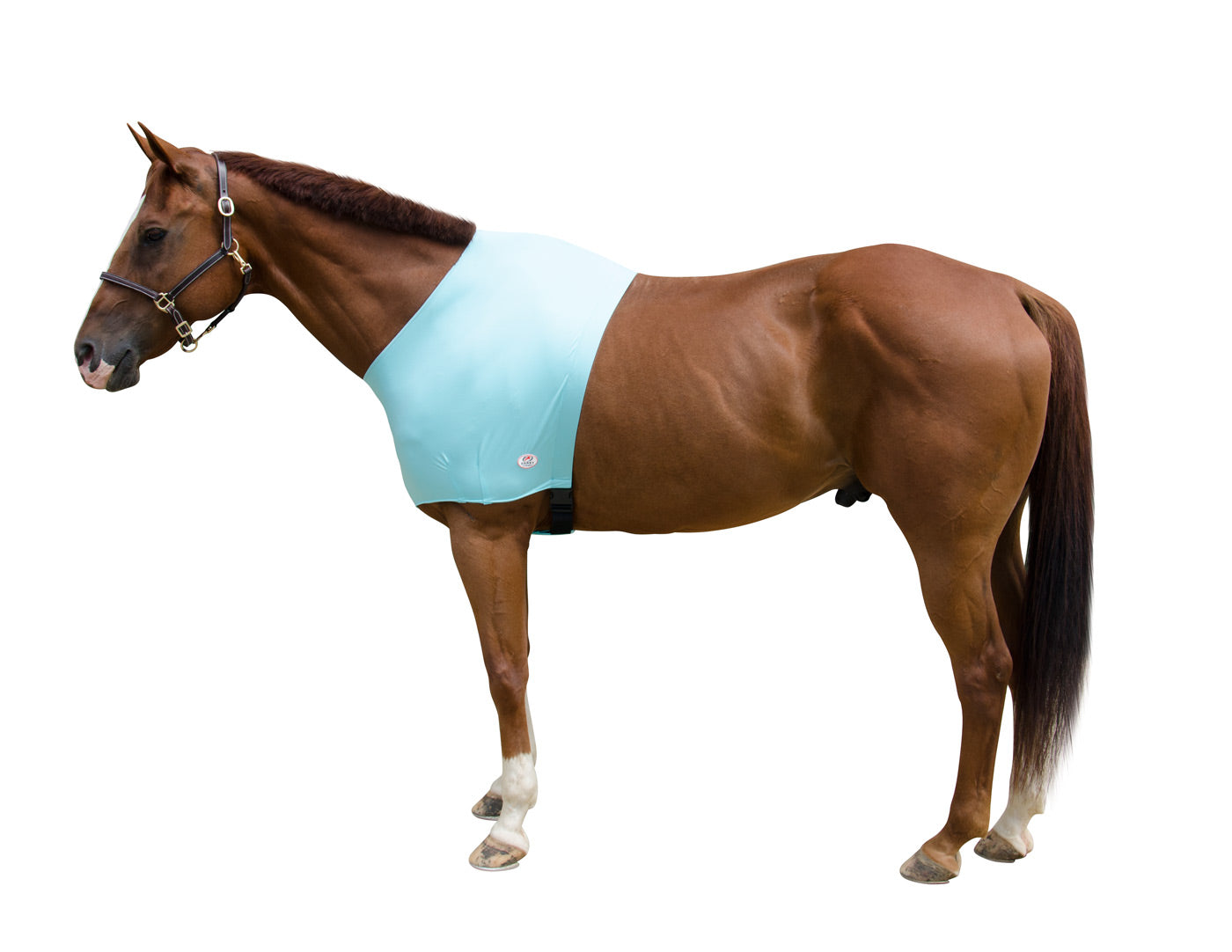 Derby Originals Comfy Stretch Lycra Sleazy Slicker Shoulder Guard blue