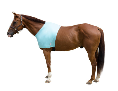 Derby Originals Comfy Stretch Lycra Sleazy Slicker Shoulder Guard blue
