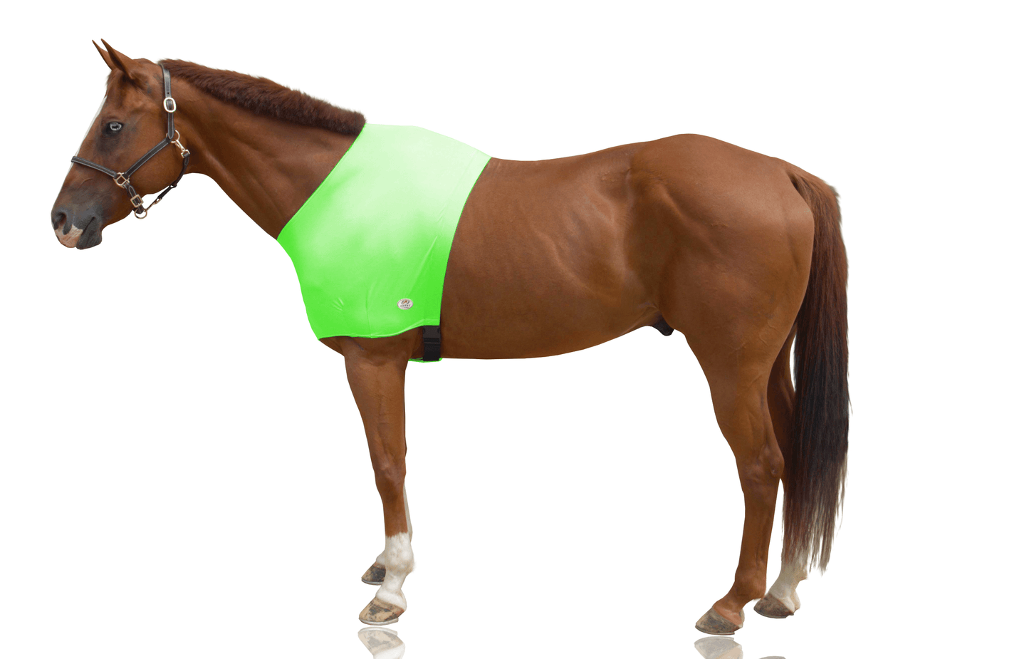 Derby Originals Comfy Stretch Lycra Sleazy Slicker Shoulder Guard Green Apple