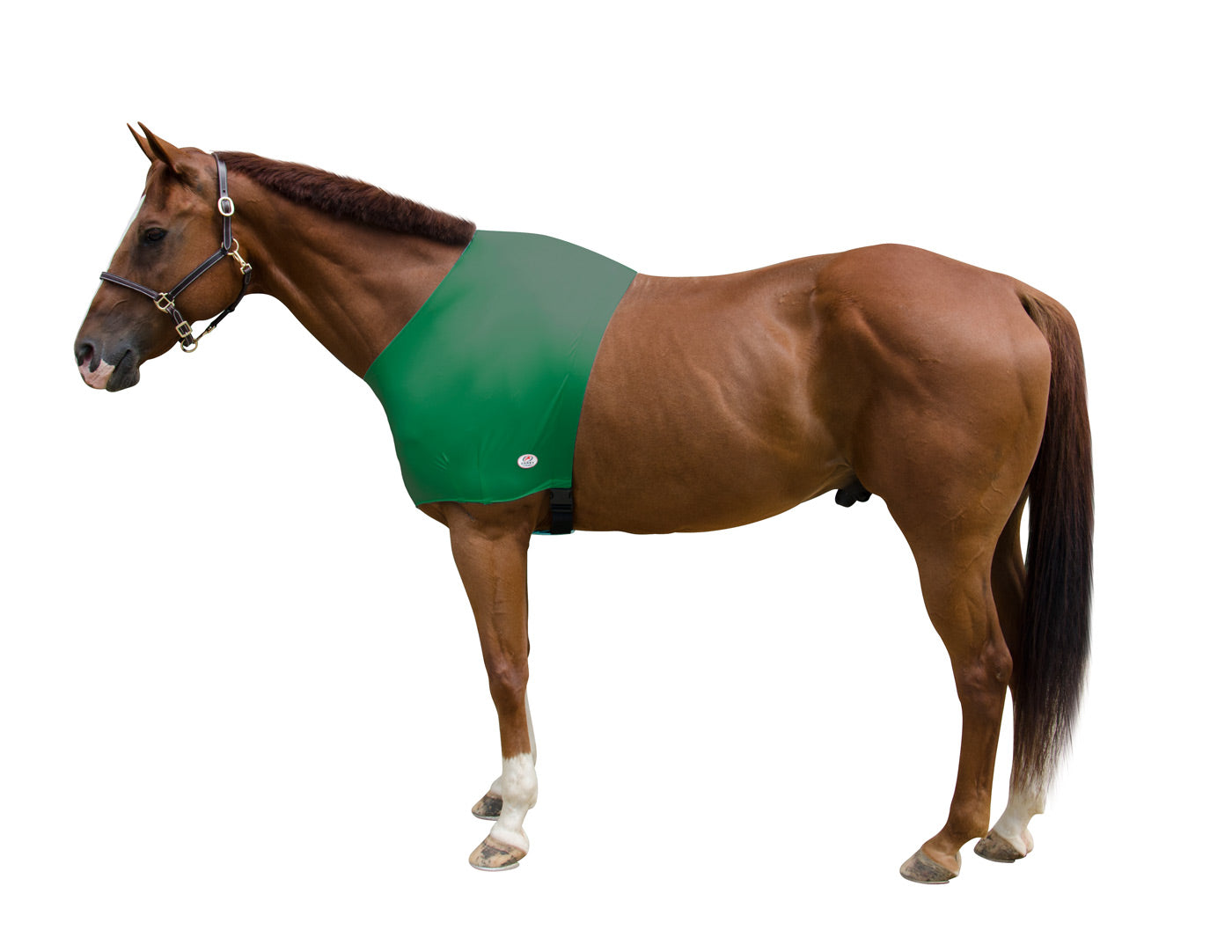 Derby Originals Comfy Stretch Lycra Sleazy Slicker Shoulder Guard Hunter Green