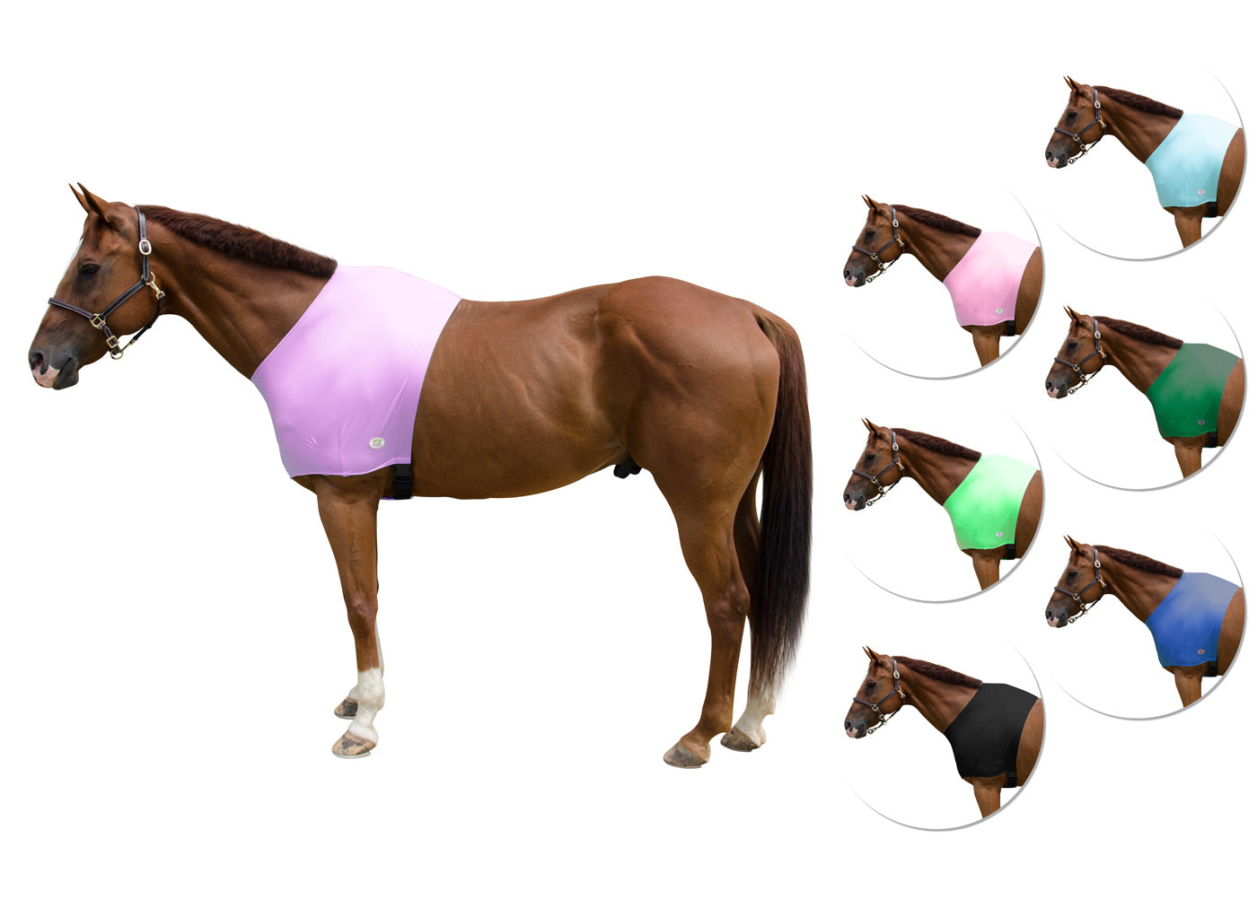 Derby Originals Comfy Stretch Lycra Sleazy Slicker Shoulder Guard Purple