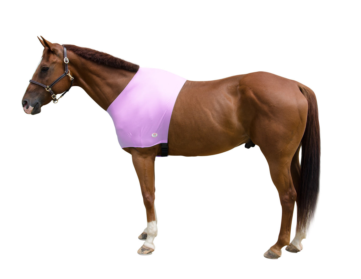Derby Originals Comfy Stretch Lycra Sleazy Slicker Shoulder Guard purple main