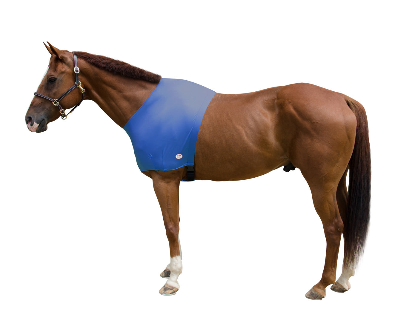 Derby Originals Comfy Stretch Lycra Sleazy Slicker Shoulder Guard royal blue