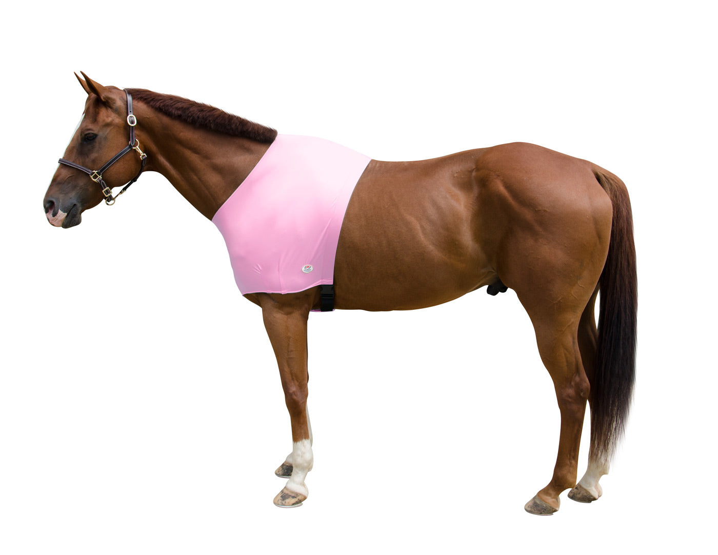 Derby Originals Comfy Stretch Lycra Sleazy Slicker Shoulder Guard soft pink