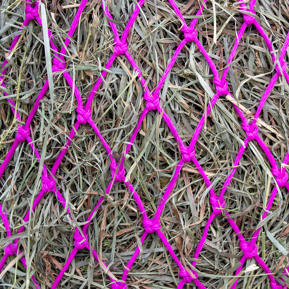 Hanging Hay Net for Horses and Livestock Magenta