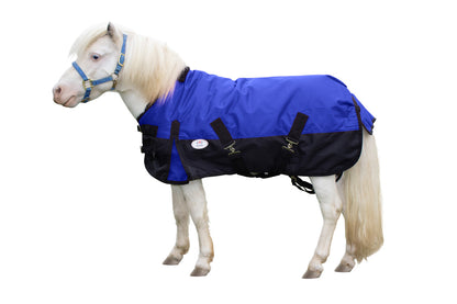 Derby Originals Classic 600D Medium Weight Winter Mini Horse Pony Turnout Blanket Royal Blue