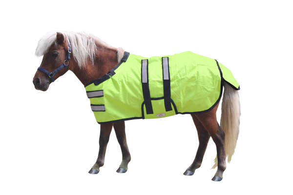 Derby Originals Reflective Safety No Hardware Winter Foal Turnout Blanket 600D Medium Weight 150g