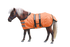 products/Mini_Horse_Blanket_Reflective_No_Hardware_Orange_Main_80-8067.png