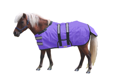 Derby Originals Reflective Safety No Hardware Winter Foal Turnout Blanket Purple Main