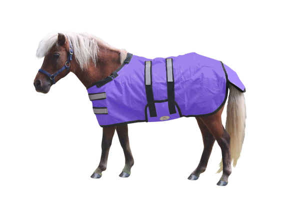 Derby Originals Reflective Safety No Hardware Winter Foal Turnout Blanket 600D Medium Weight 150g