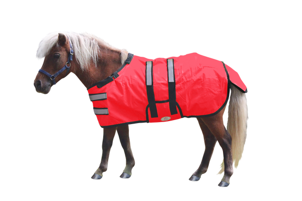 Derby Originals Reflective Safety No Hardware Winter Foal Turnout Blanket 600D Medium Weight 150g