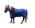 products/Mini_Horse_Polar_Fleece_No_Harware_Royal_Blue_Main_80-8068.jpg