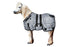 products/Mini_Horse_Stable_Blanket_Bellyband_Charcoal_Main_Horse_80-8062.jpg
