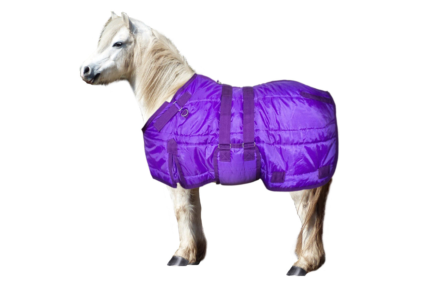 Derby Originals Wind Storm Closed Front Medium Weight Winter Mini Horse Pony Stable Blanket  Purple Main Image