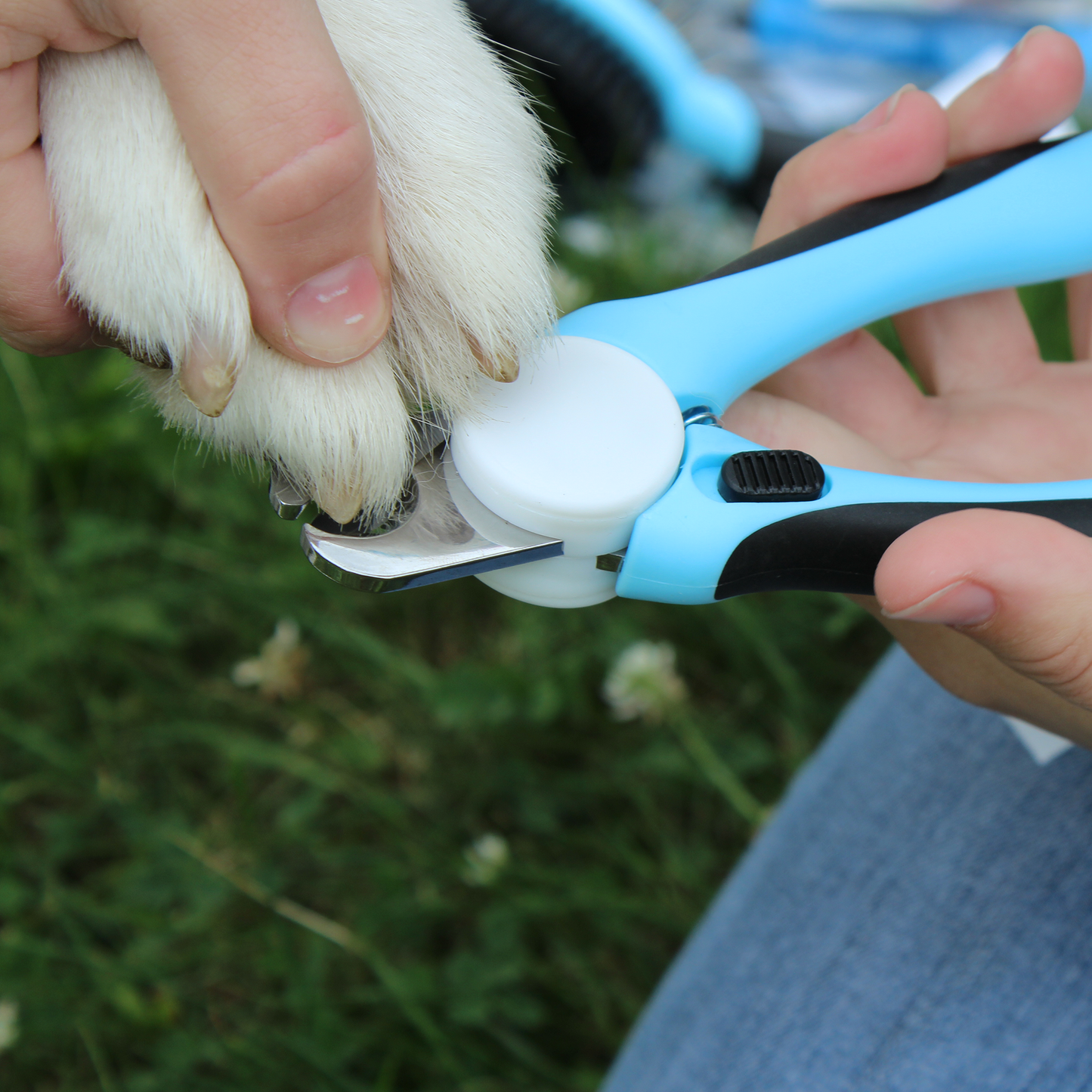 Professional Heavy Duty Pet Nail Clipper w Nail File by cuteNfuzzy Lifestyle Clip
