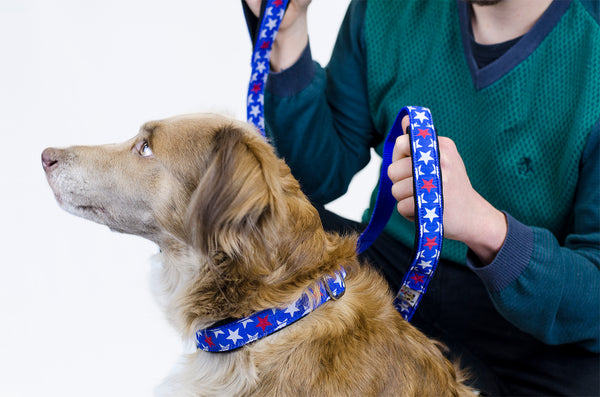 cuteNfuzzyÂ® Padded Adjustable Dog Collar with Overlay Warranty