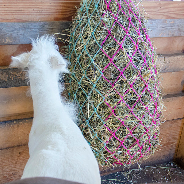 Derby Originals 42” Cotton Candy Slow Feed Hanging Hay Net for Horses