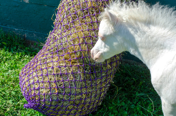 Derby Originals 56” Ultra Slow Feed Hay Nets for Horse 1.5