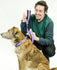 products/PokadotCollar_Leash-0731.jpg