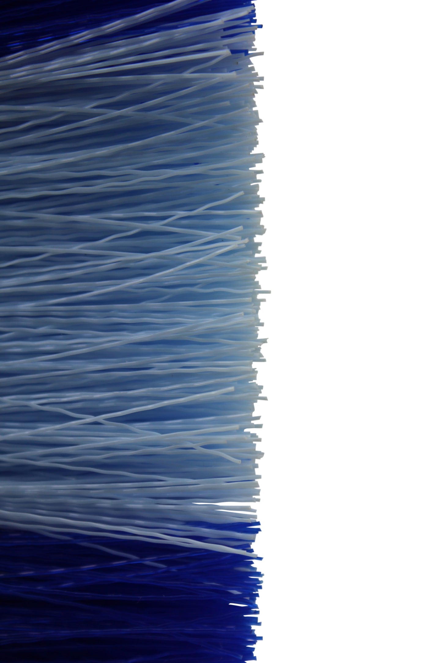  Grip Stiff Crinkled Bristle Dandy  Brush