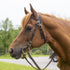 products/Tahoe_Tack_Double_Layered_Nylon_Western_Headstall_Match_Split_Reins_Lifestyle-3_17-1704.jpg